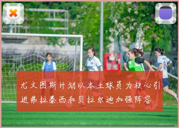 尤文图斯计划以本土球员为核心引进弗拉泰西和贝拉尔迪加强阵容